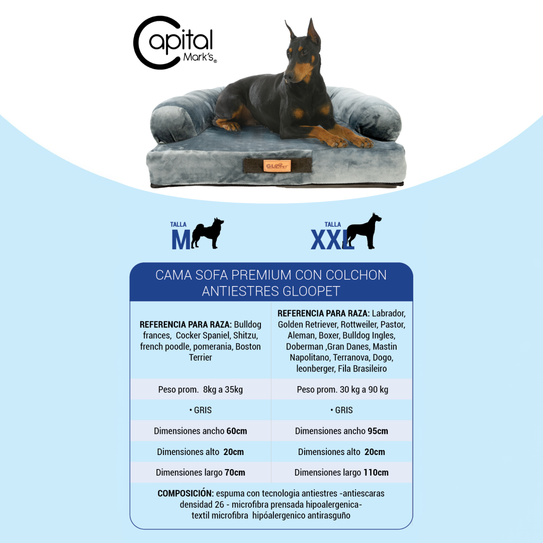 Cama Sofá Premium