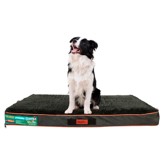 Cama Colchón Antiestrés