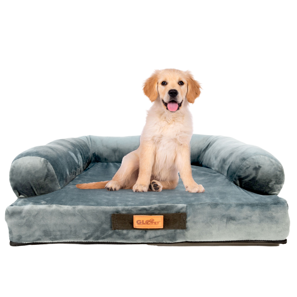 Cama Sofá Premium