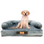 Cama Sofá Premium