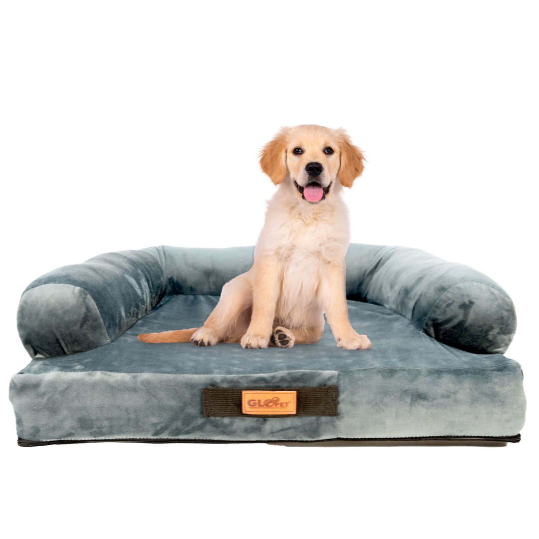 Cama Sofá Premium
