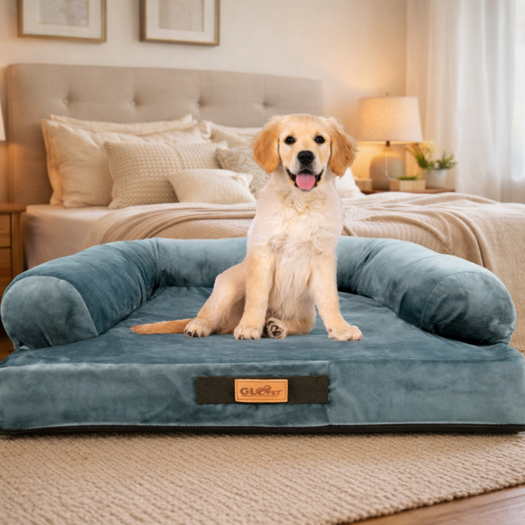 Cama Sofá Premium