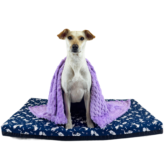 Colchoneta Antifluido