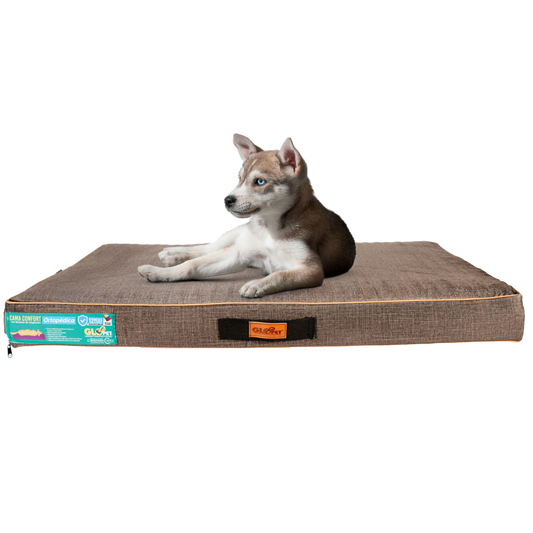 Cama Confort Ortopédica