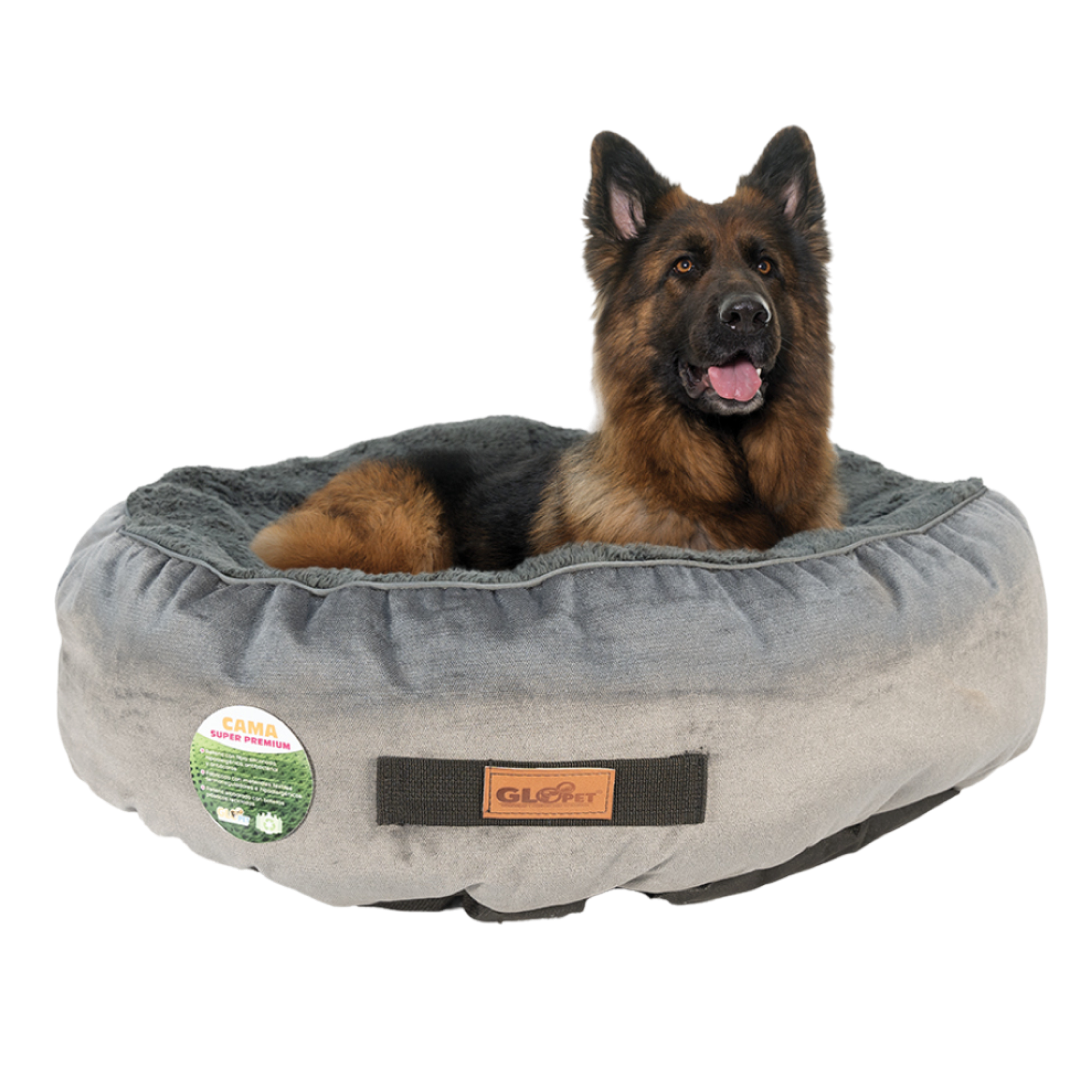 Cama Premium