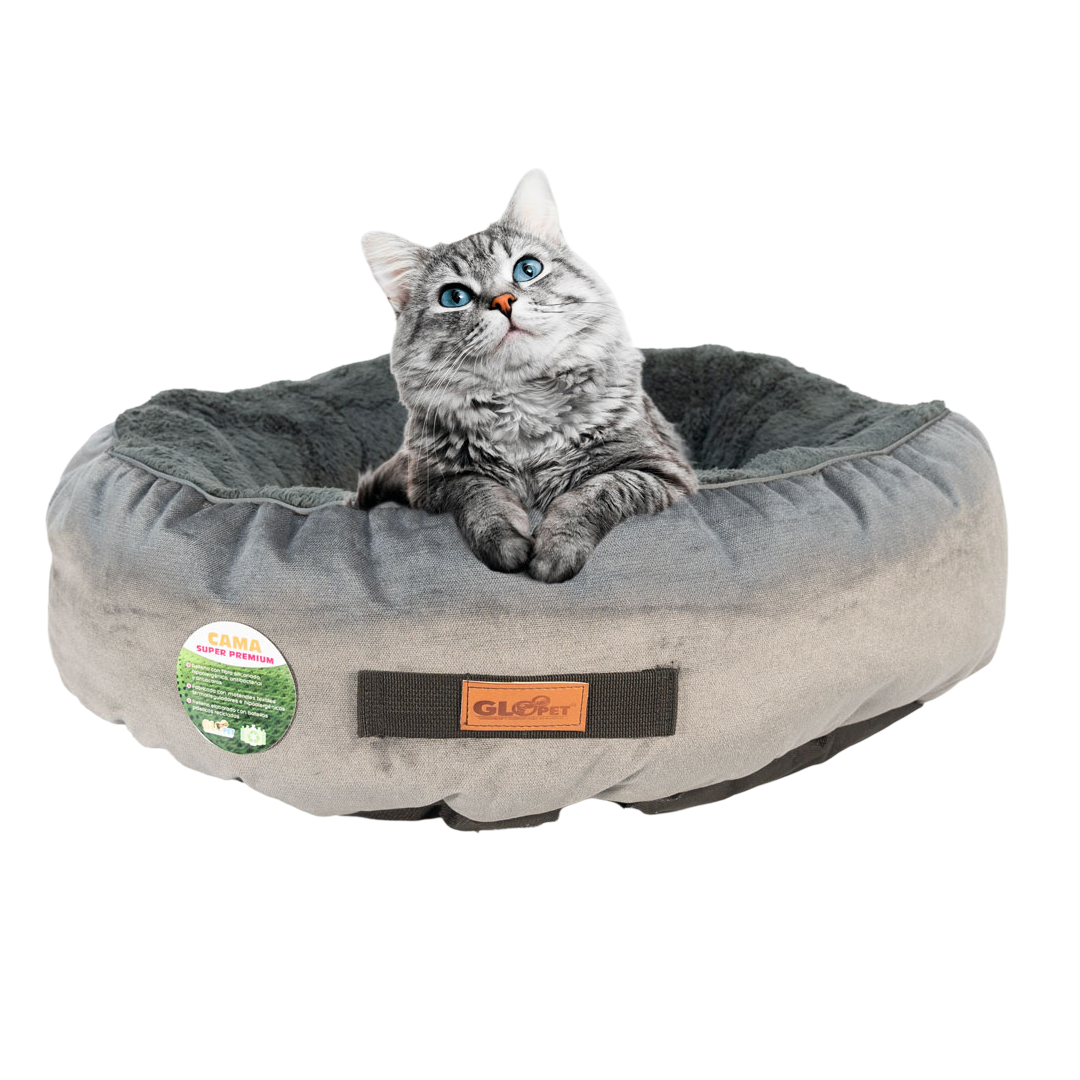 Cama Premium