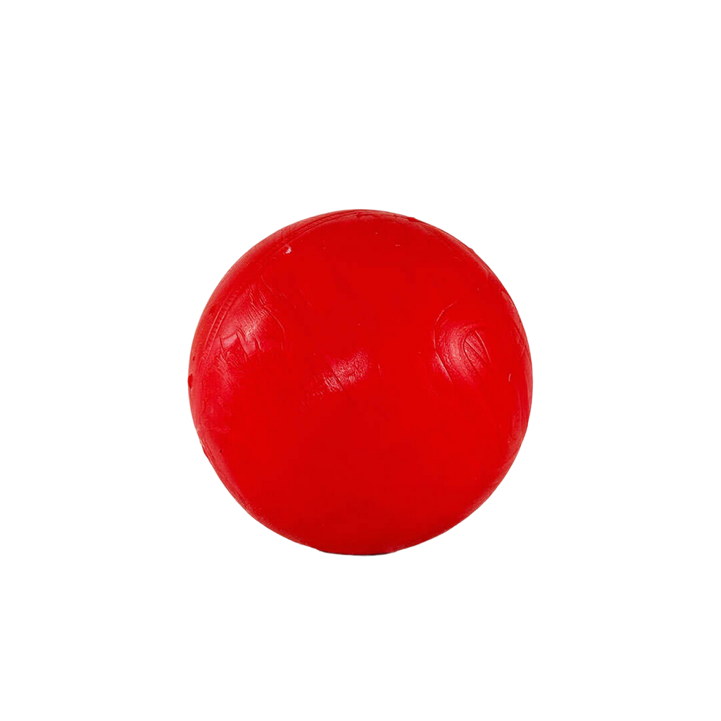 Pelota Maciza con Goma Atóxica
