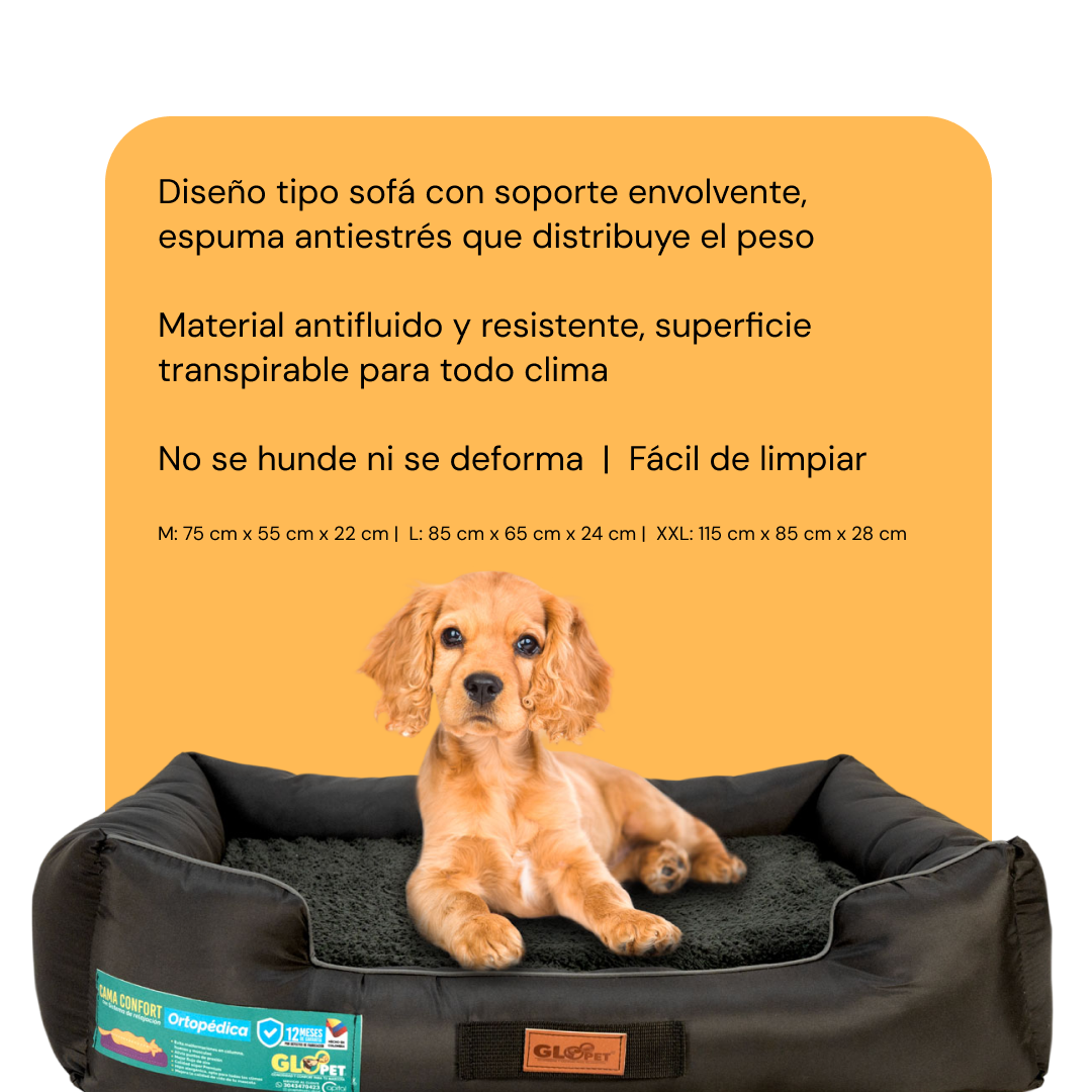 Cama Sofá
