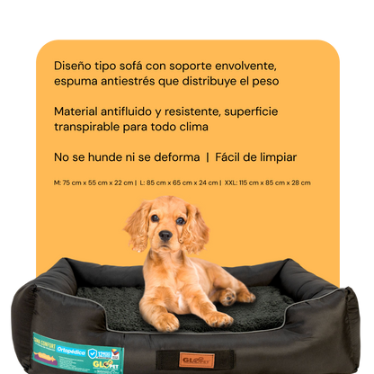 Cama Sofá