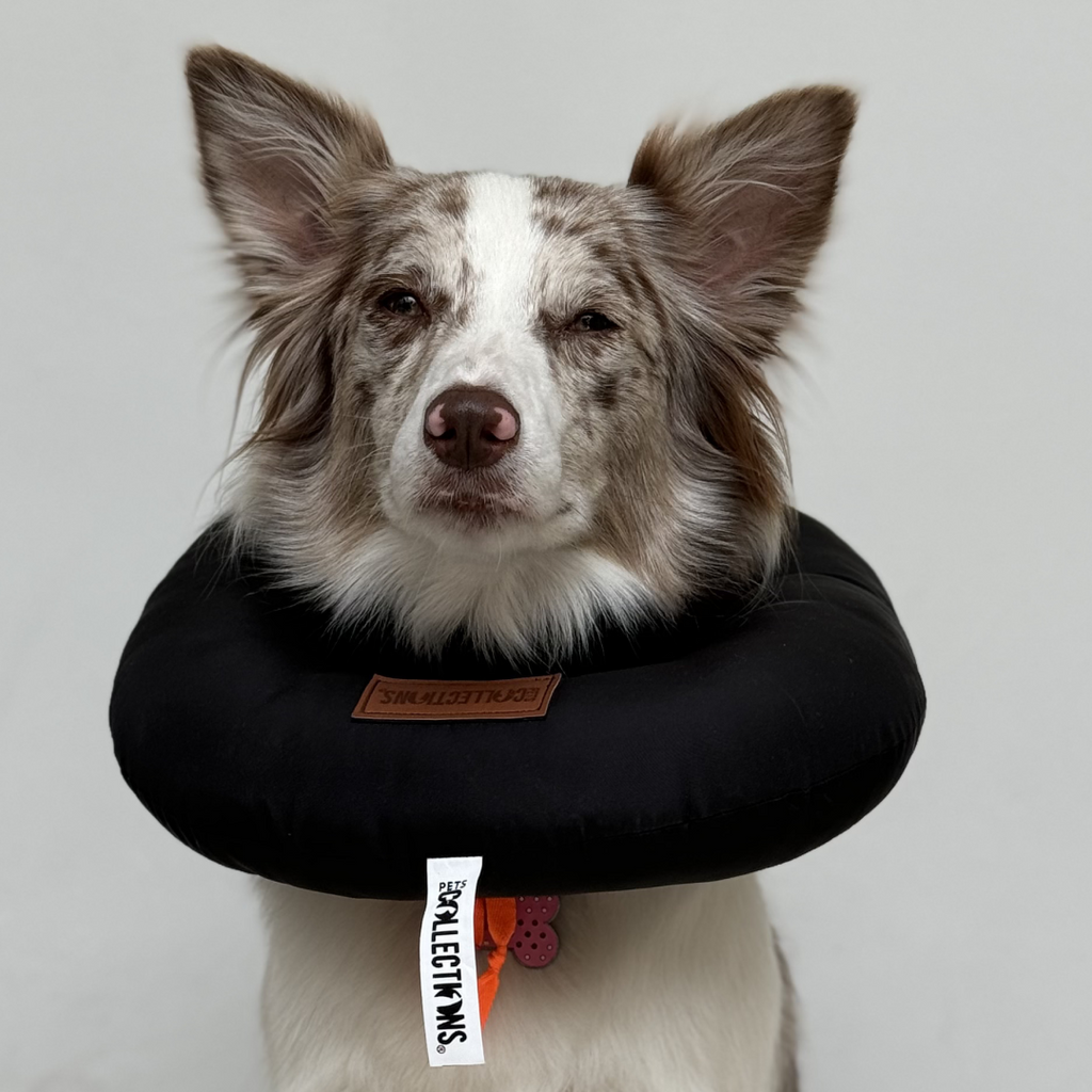 Collares de recuperación