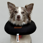 Collares de recuperación