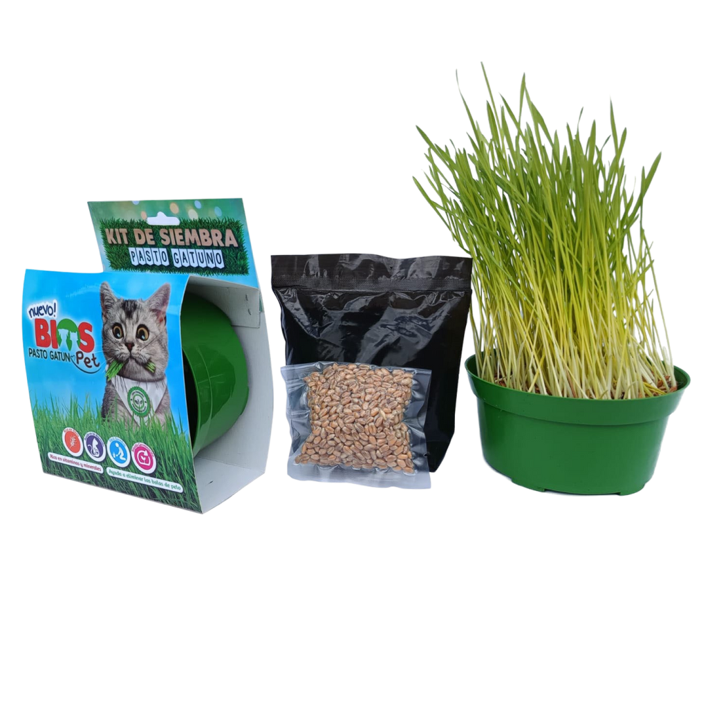Kit para Siembra de Pasto Gatuno