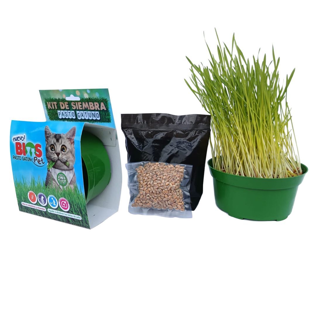 Kit para Siembra de Pasto Gatuno