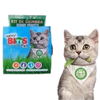 Kit para Siembra de Pasto Gatuno