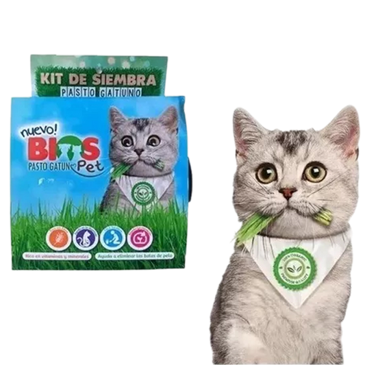 Kit para Siembra de Pasto Gatuno