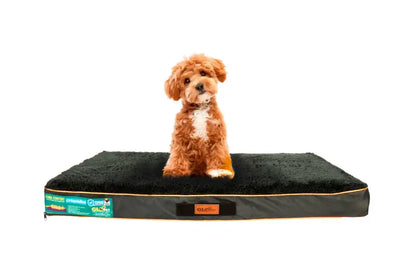 Cama Colchón Antiestrés con Tecnología Avanzada para Mascotas - Negro / S - Camas